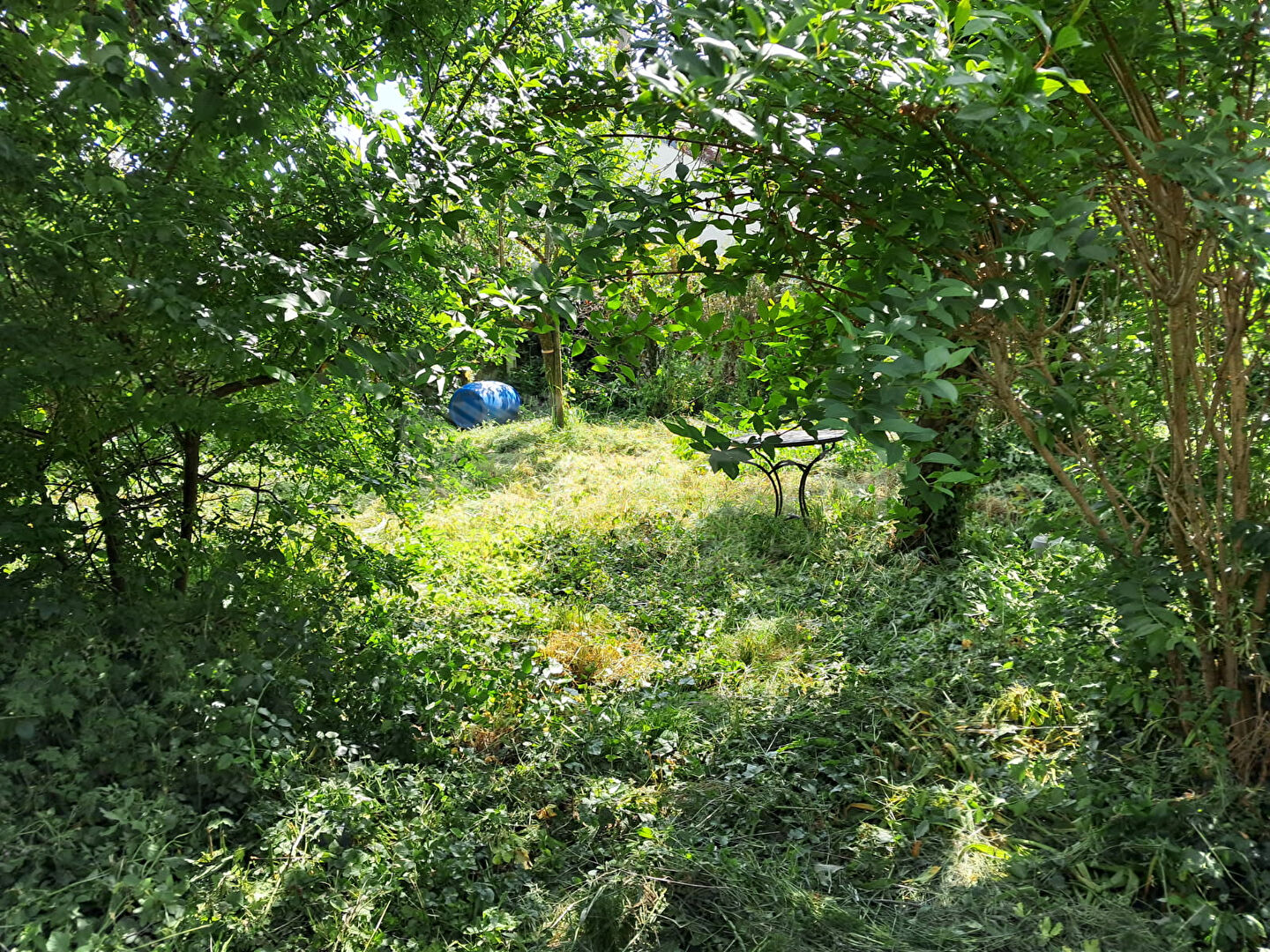 Photo Maison Bonny Sur Loire 3 pièce(s) 132 m2 garage terrain 401 m² image 3/6