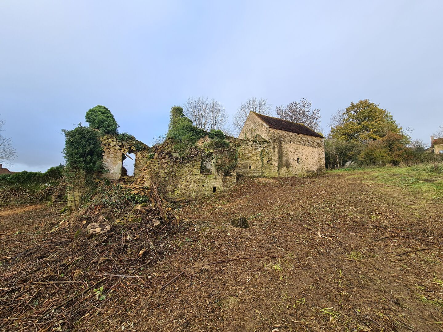 Photo Terrain à bâtir avec Grange 9 487m² image 3/6