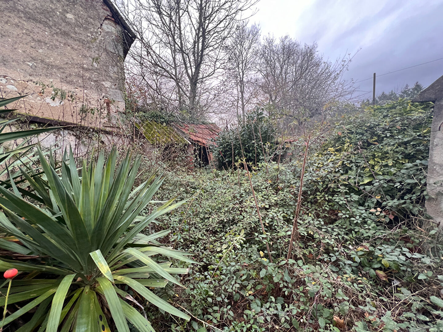 Photo Maison secteur Saint Fargeau image 4/6