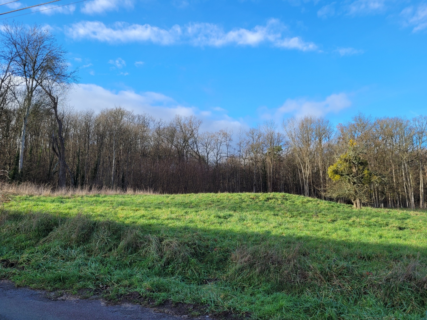 Photo Terrain à construire LES BRIES image 1/4