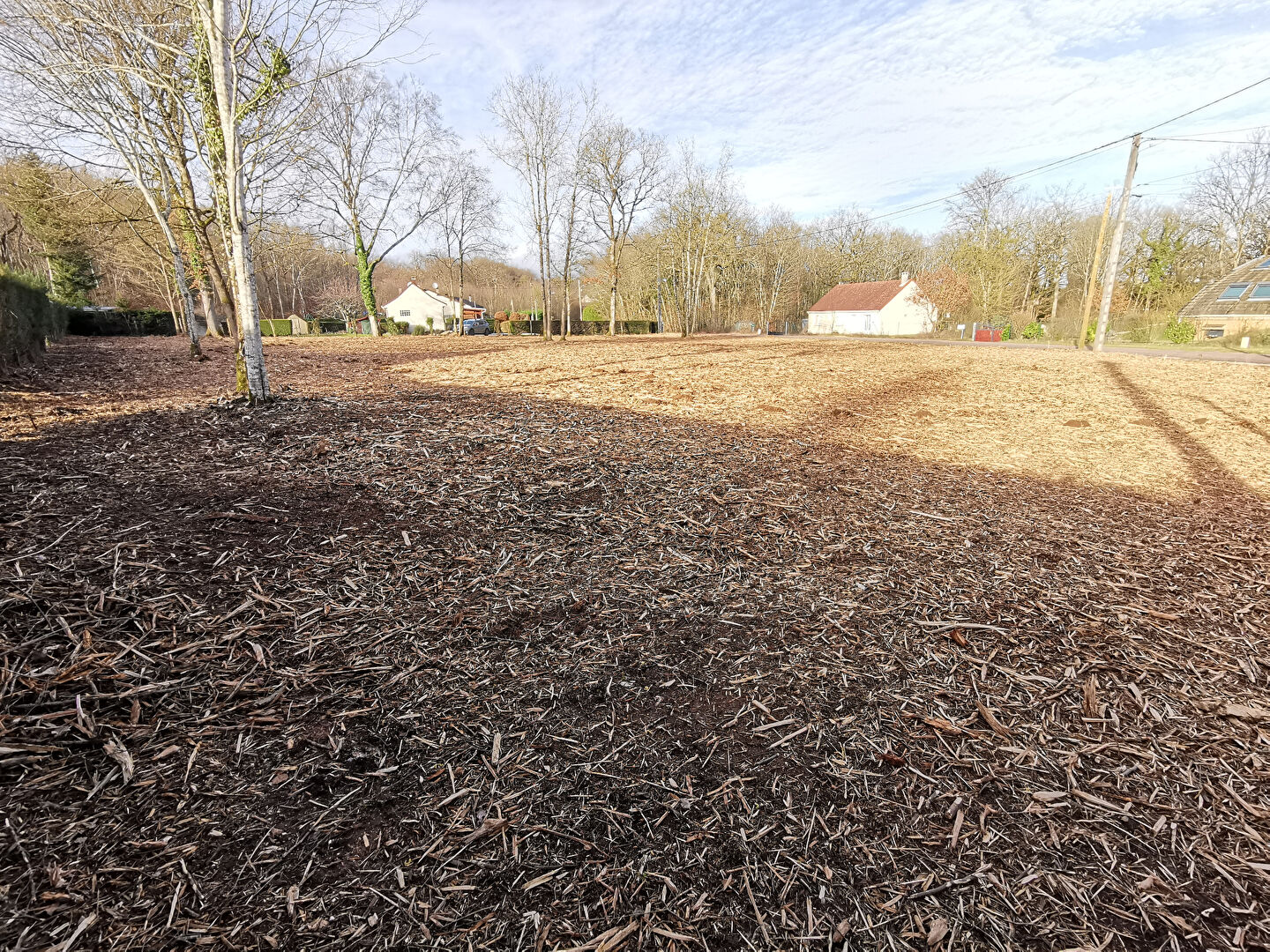 Photo Terrain totalement défriché 2229 m2 image 2/6