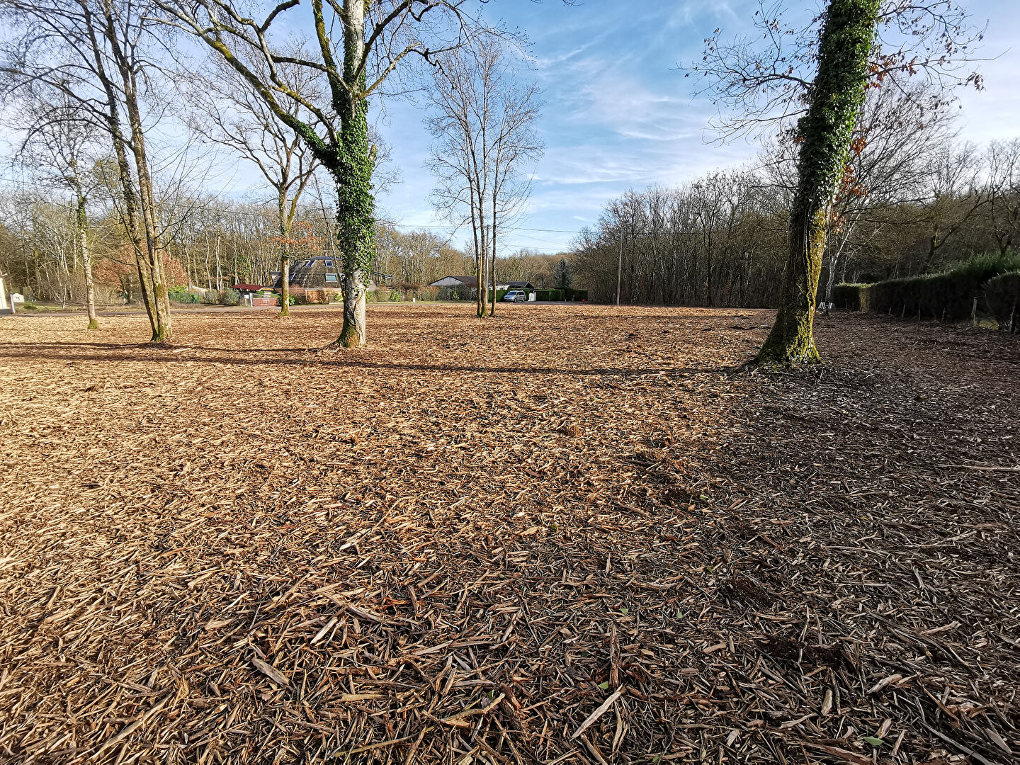 Photo Terrain totalement défriché 2229 m2 image 3/6