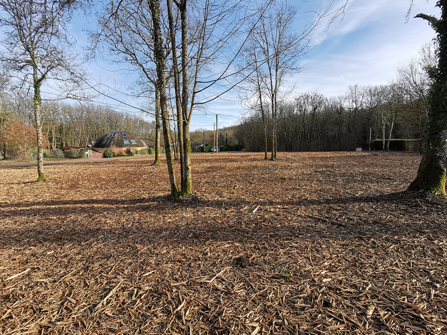 Photo Terrain totalement défriché 2229 m2 image 4/6