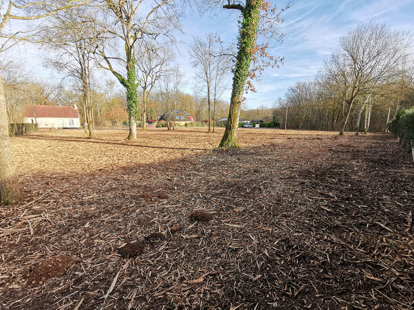 Photo Terrain totalement défriché 2229 m2 image 5/6