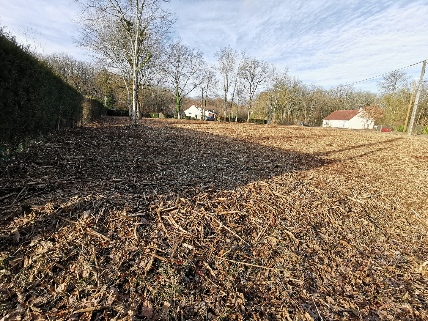 Photo Terrain totalement défriché 2229 m2 image 6/6