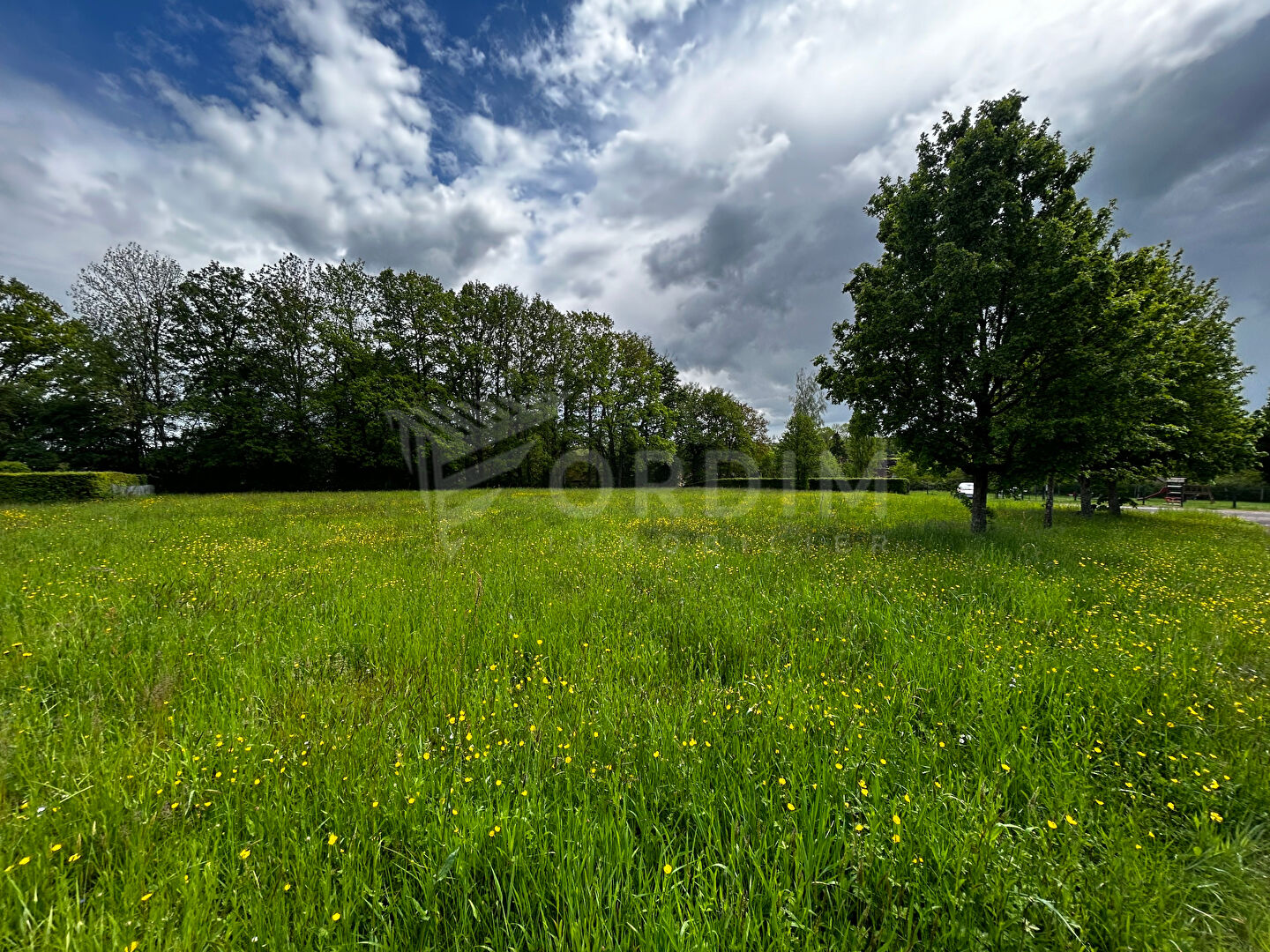 Photo Terrain à bâtir MOULINS/OUANNE image 6/6