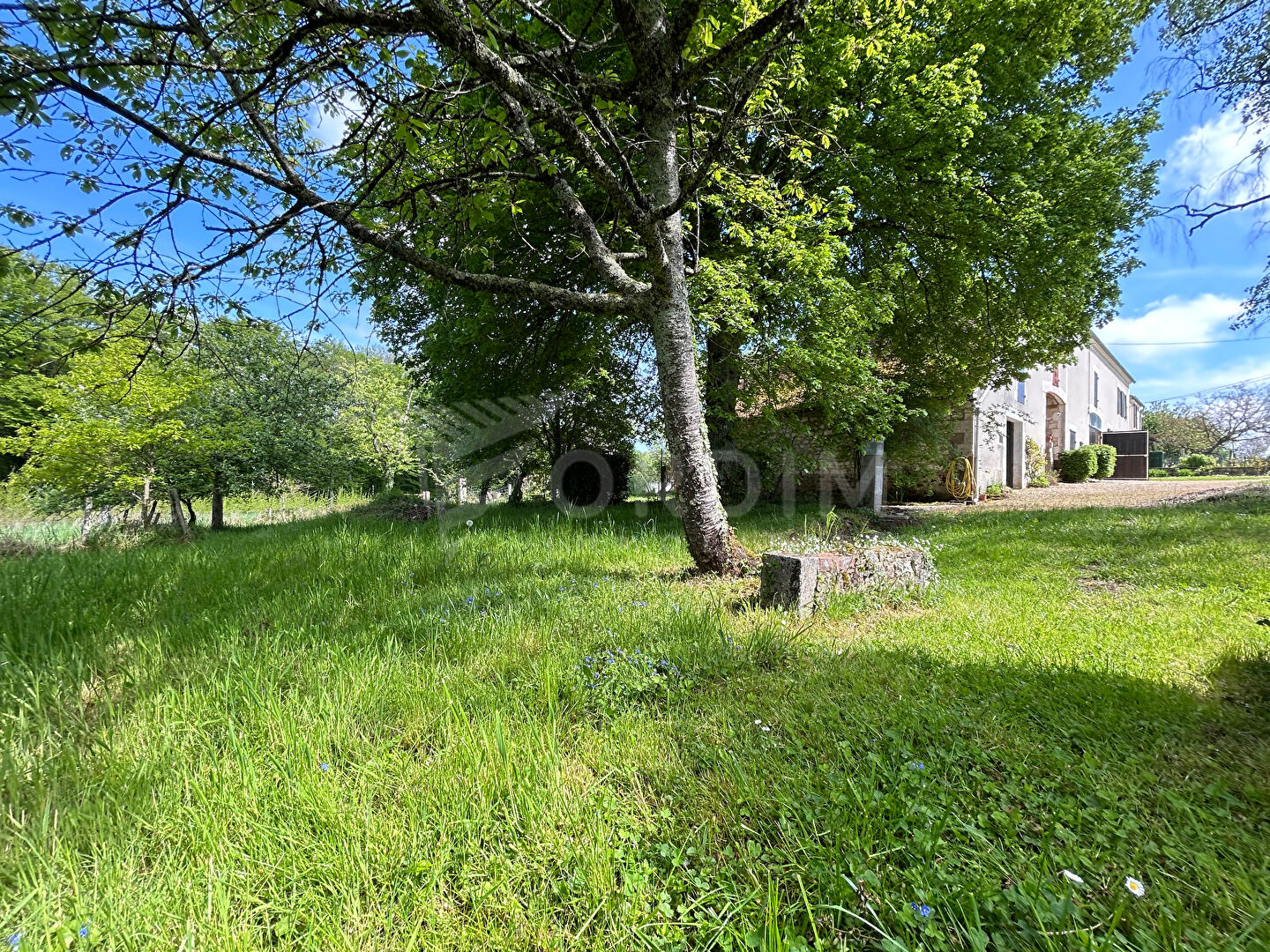 Photo Longére avec dépendances - POURRAIN -  6340m² de terrain image 3/6