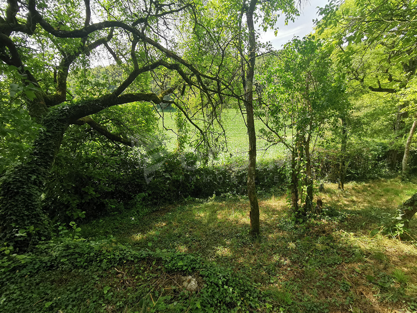 Photo Maison isolée avec vue sur la campagne image 6/6
