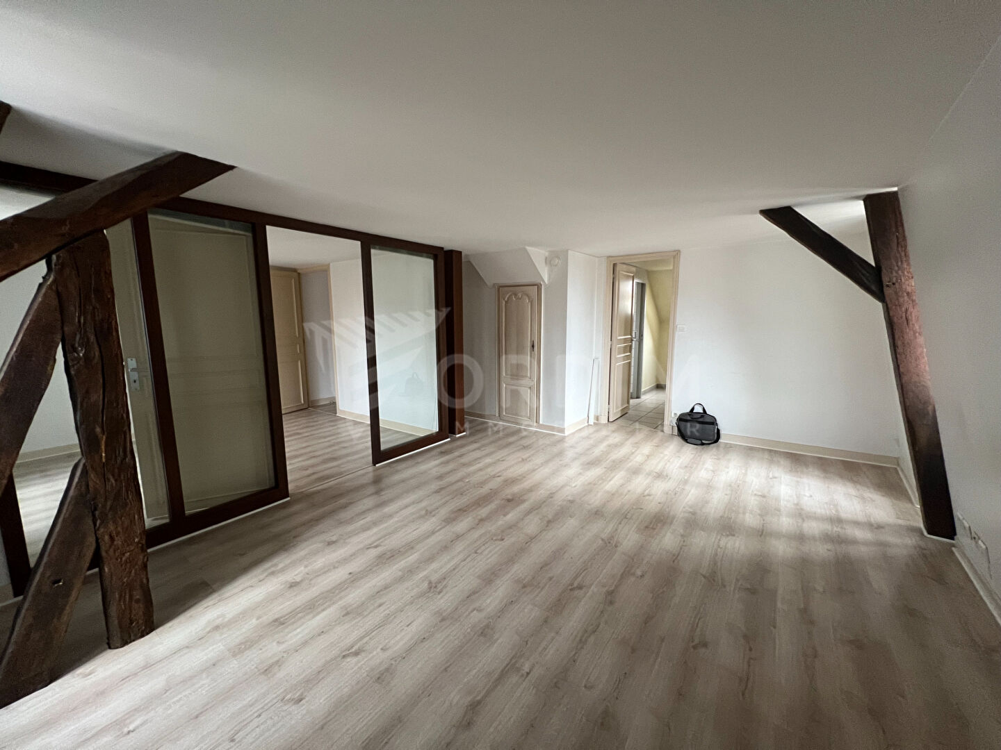AUXERRE- Hypercentre - joli appartement F2