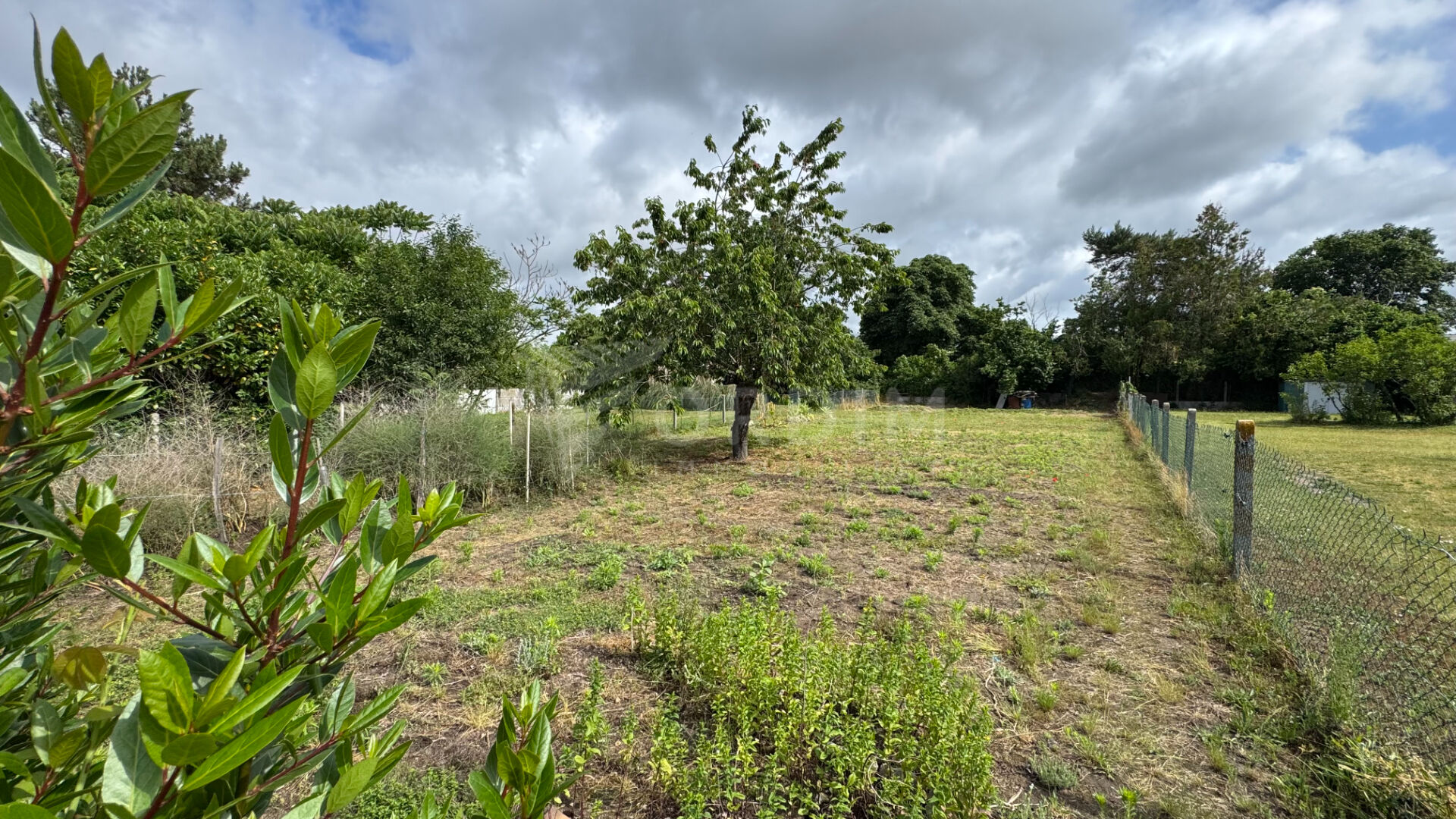 Photo NEVERS maison ancienne 2 chambres, garage sur terrain de 924 m² image 2/6