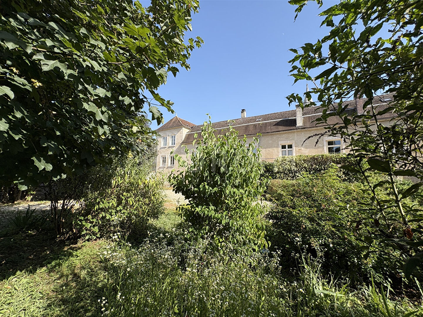 Photo Maison ancienne totalement rénovée à Chablis 9 pièce(s) image 1/6