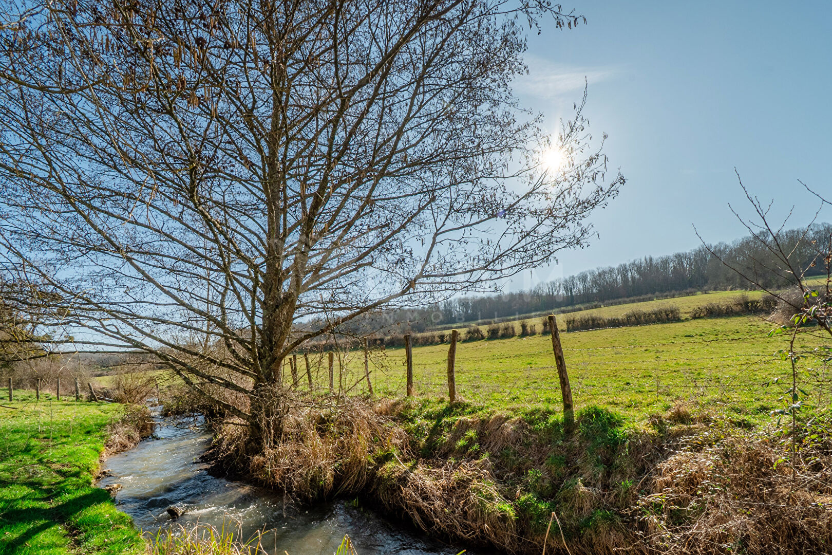 Photo Ancien moulin à rénover- Calme et charmant image 3/6