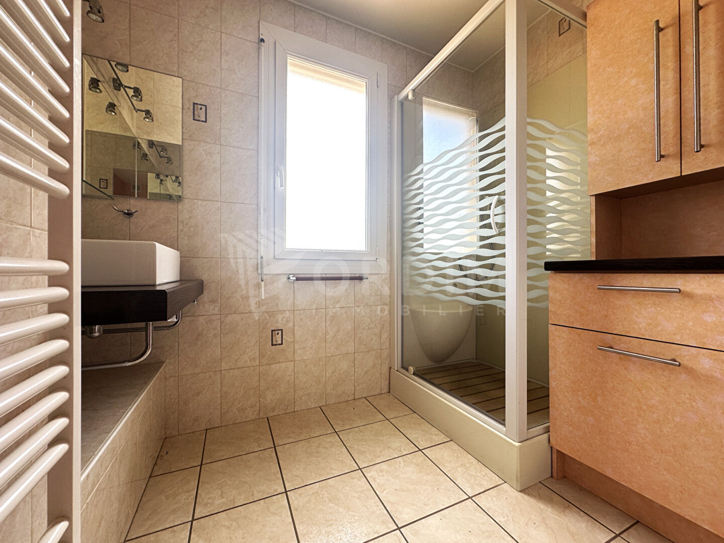 Photo EXCLUSIVITE SAINT JULIEN DU SAULT image 6/6