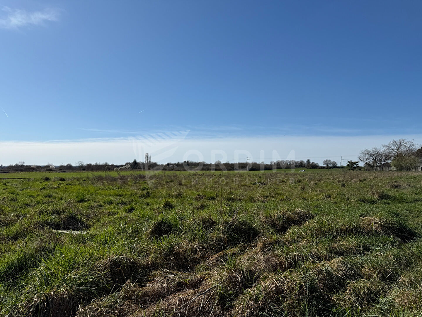 Photo Terrain Beaulieu Sur Loire 2390 M² image 1/3