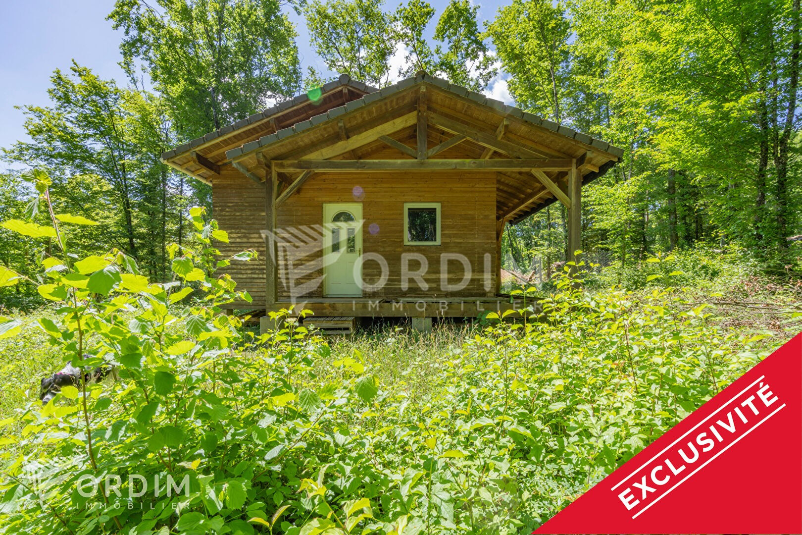 Chalet de 45m² sur terrain boisé