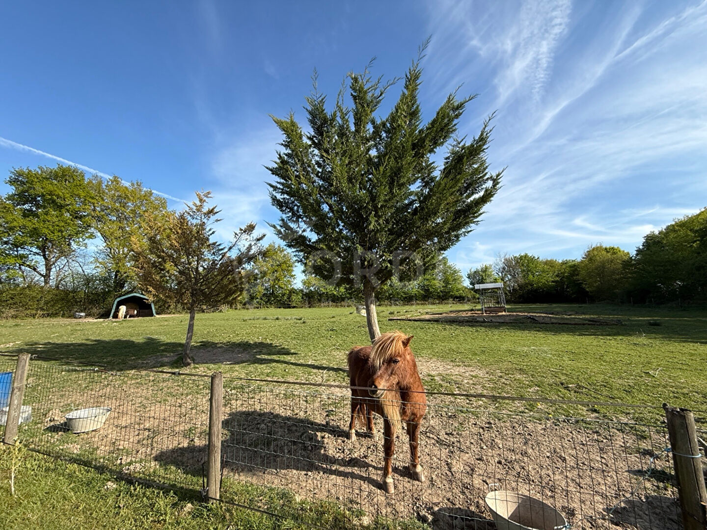 Photo Maison secteur Beaulieu sur Loire 4 pièce(s) 3 chambres  terrain 7140 m² image 2/6
