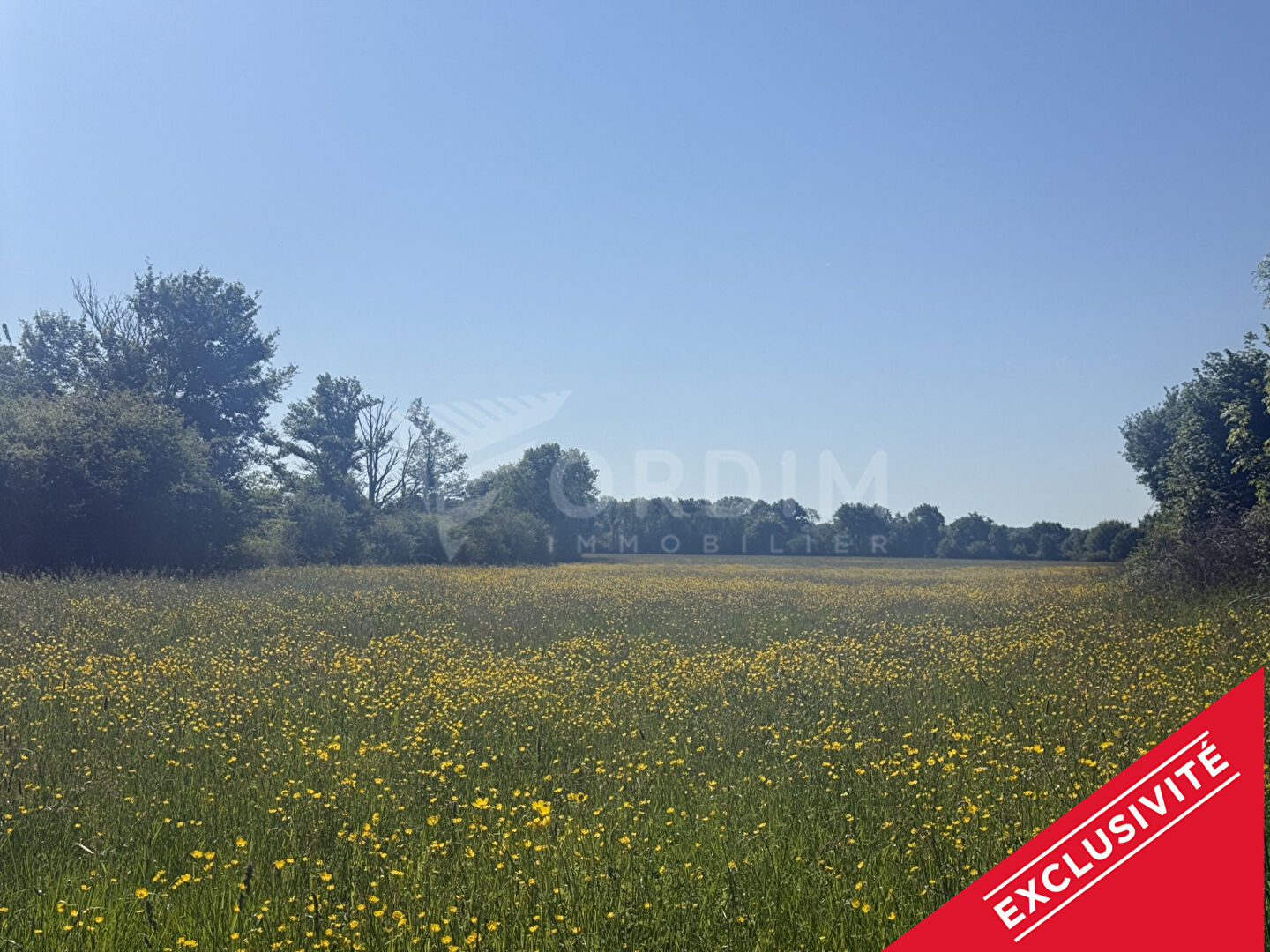 Photo Terrain Saint Fargeau 2560 m2 image 1/6
