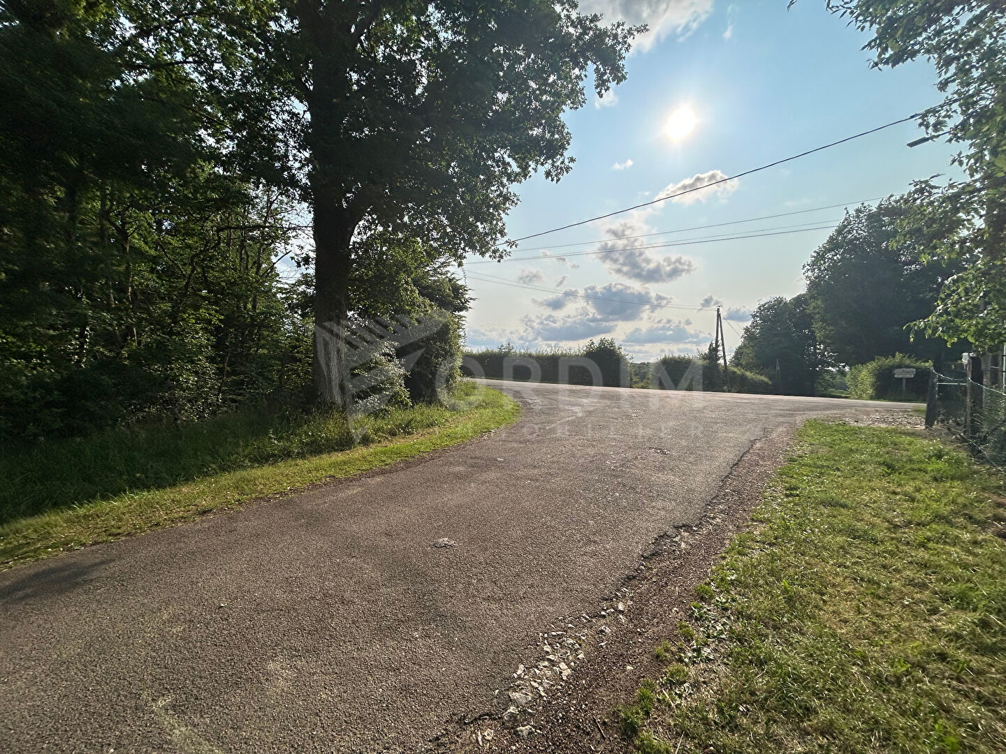 Photo Terrain Toucy 1137 m2 image 2/6