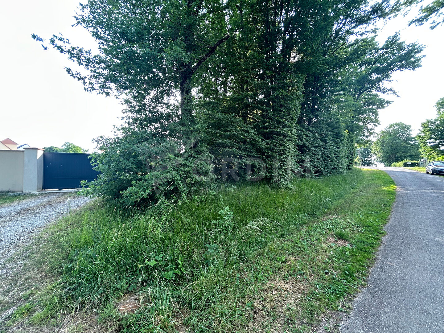 Photo Terrain Toucy 1137 m2 image 4/6