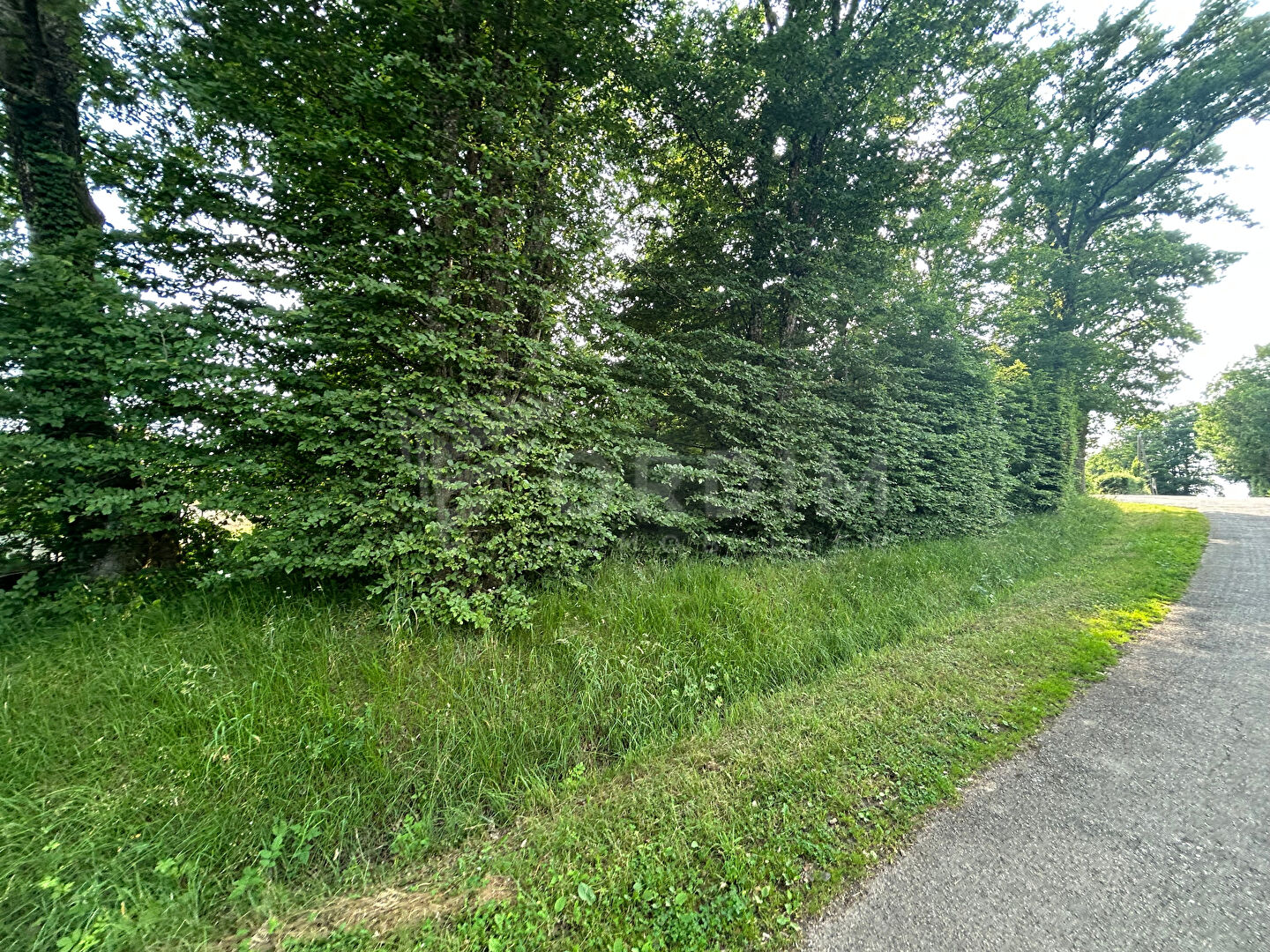 Photo Terrain Toucy 1137 m2 image 5/6