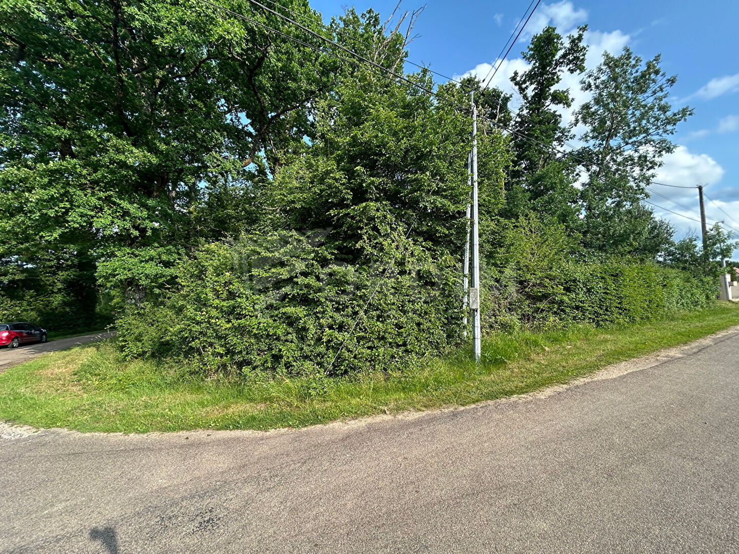 Photo Terrain Toucy 1137 m2 image 6/6