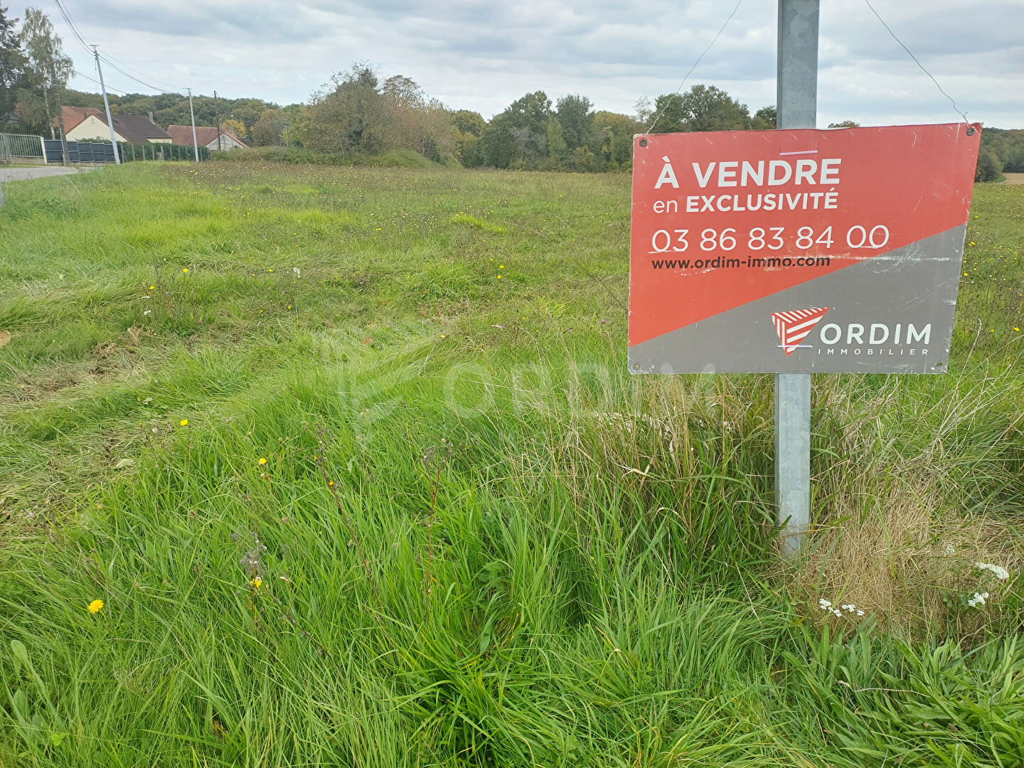 Terrain plat et constructible 3324 m2