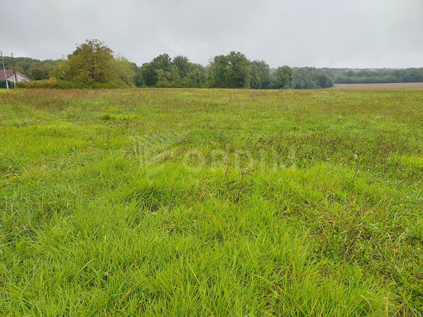 Photo Terrain plat et constructible 3324 m2 image 3/6