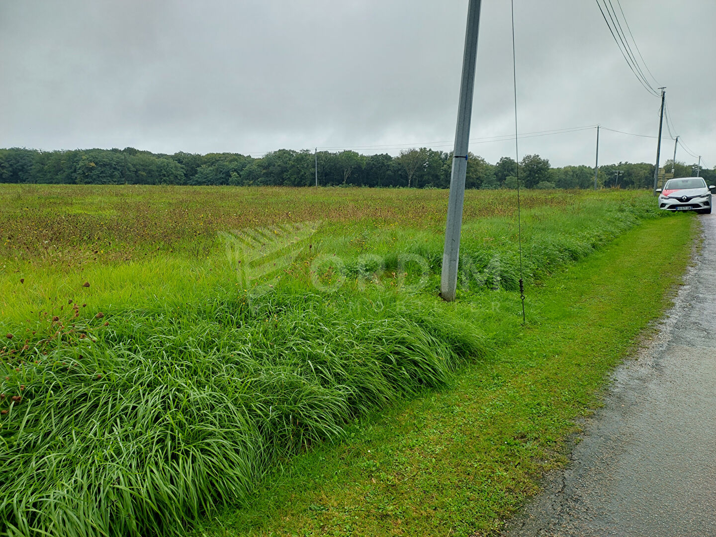 Photo Terrain plat et constructible 3324 m2 image 4/6