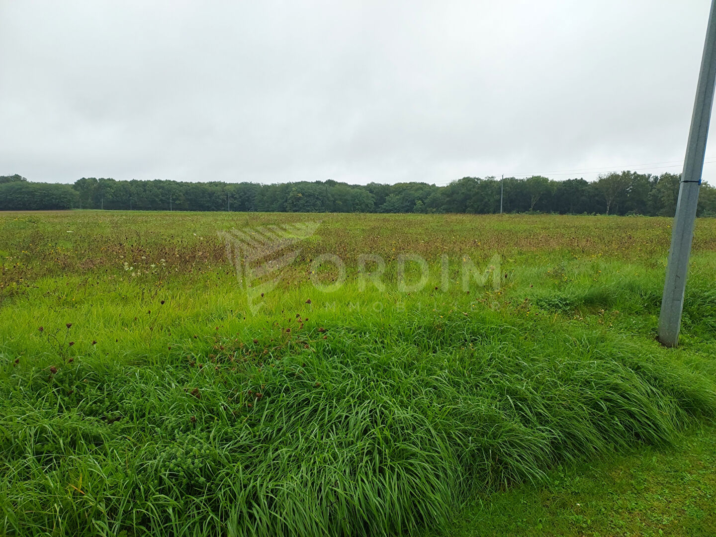 Photo Terrain plat et constructible 3324 m2 image 5/6
