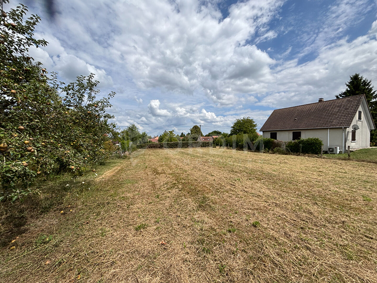 Photo Terrain Constructible à Charbuy : 1670 m² à Viabiliser ! image 2/3