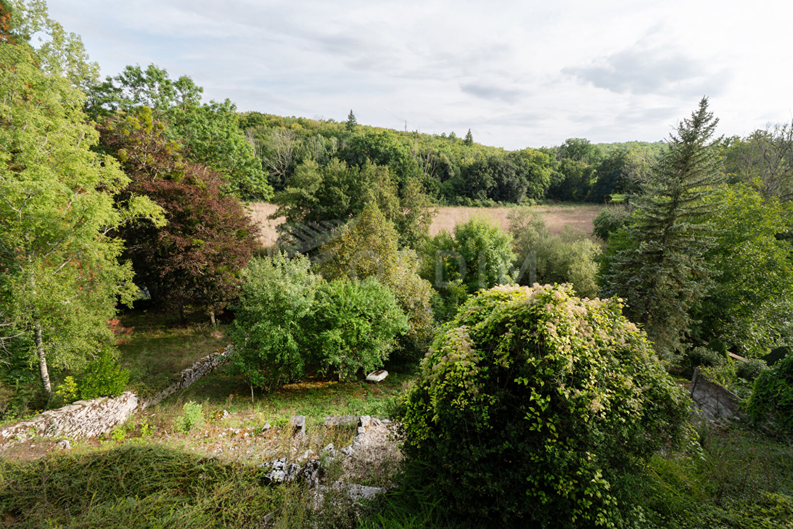 Photo Maison Grimault image 5/6