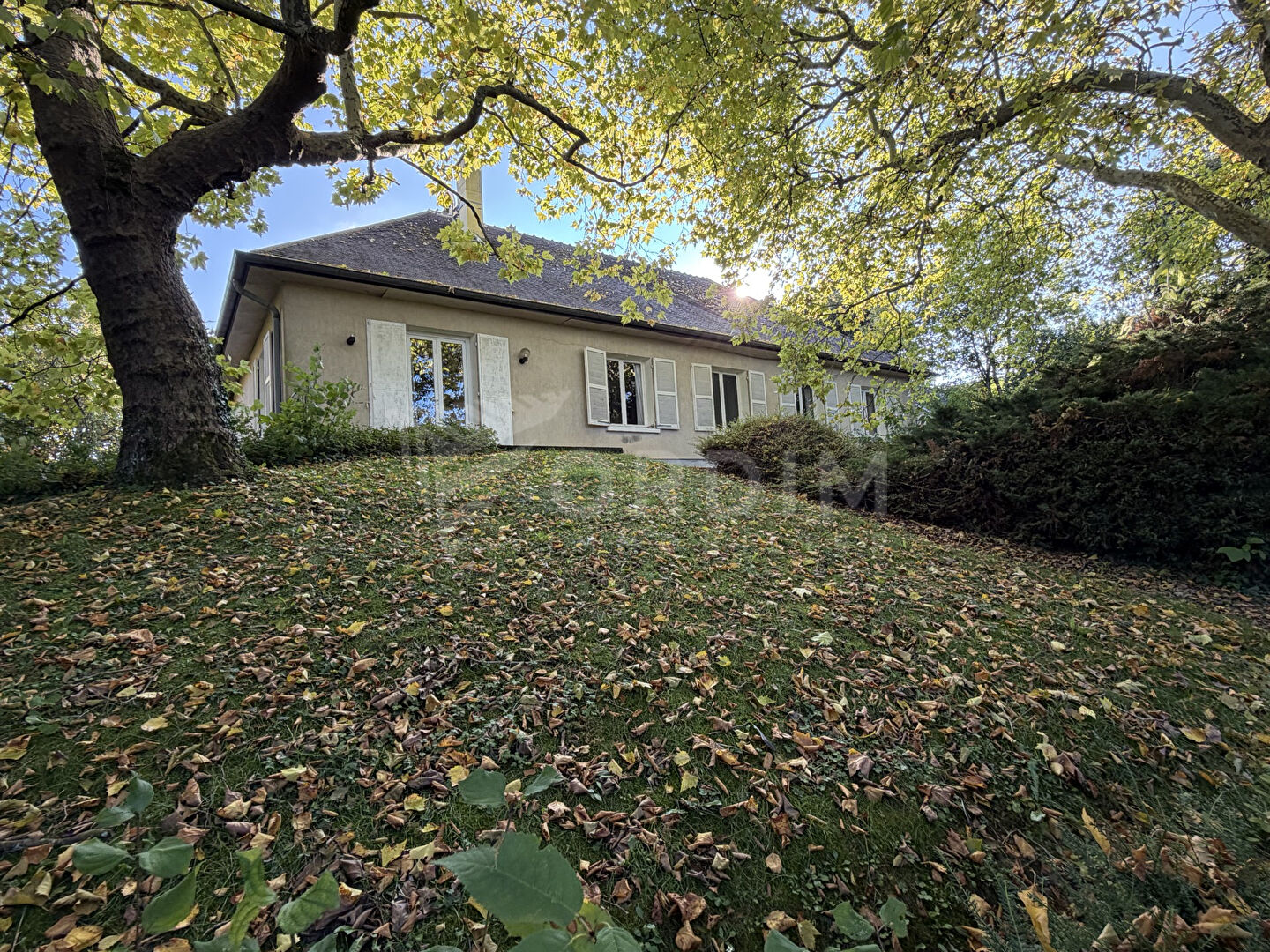 Photo Maisons Veaugues 256 m² et 100 m² image 2/6