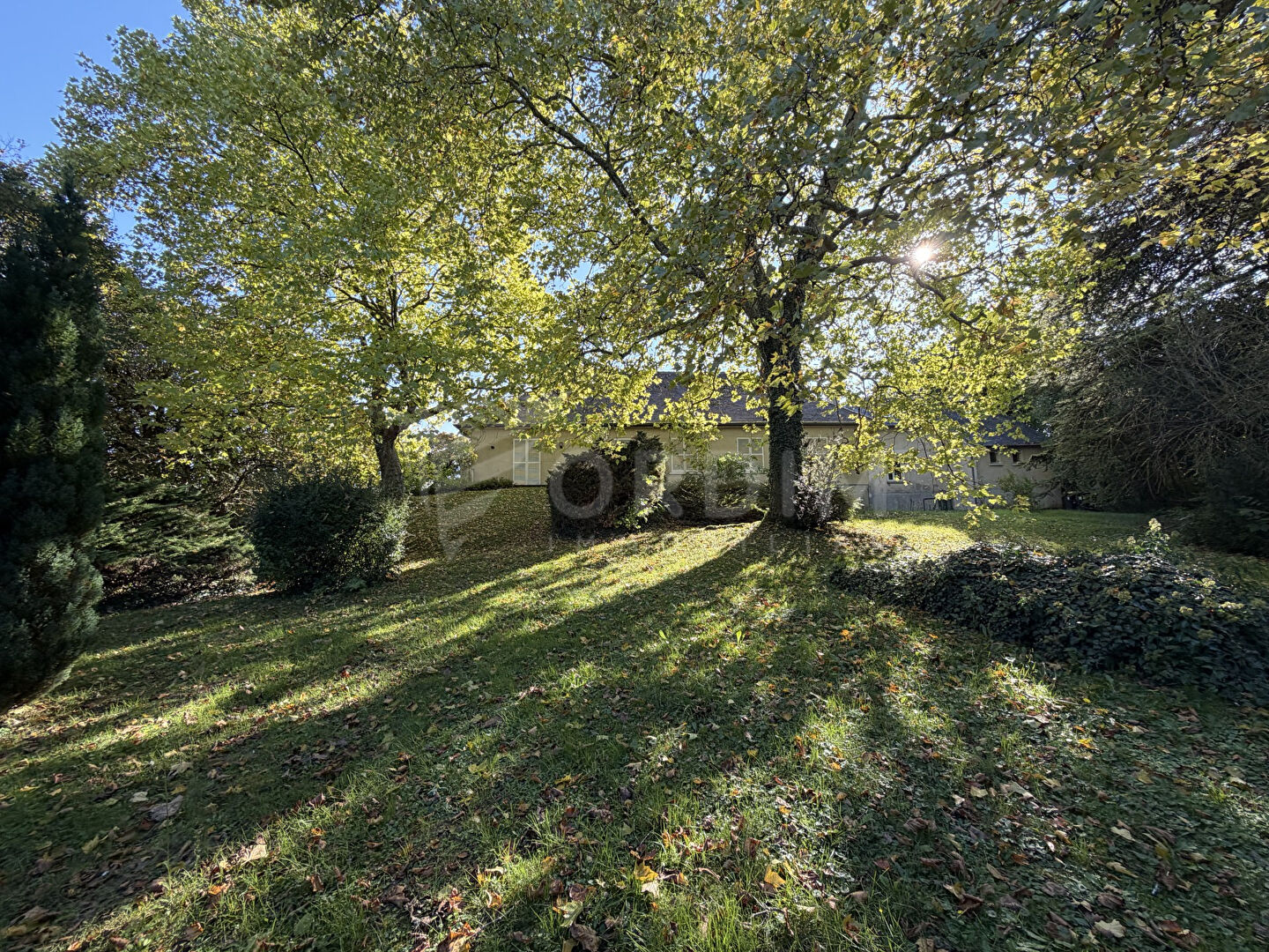 Photo Maisons Veaugues 256 m² et 100 m² image 3/6