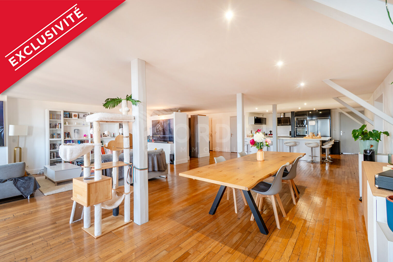 EXCLUSIVITE QUARTIER DE L'HORLOGE AUXERRE