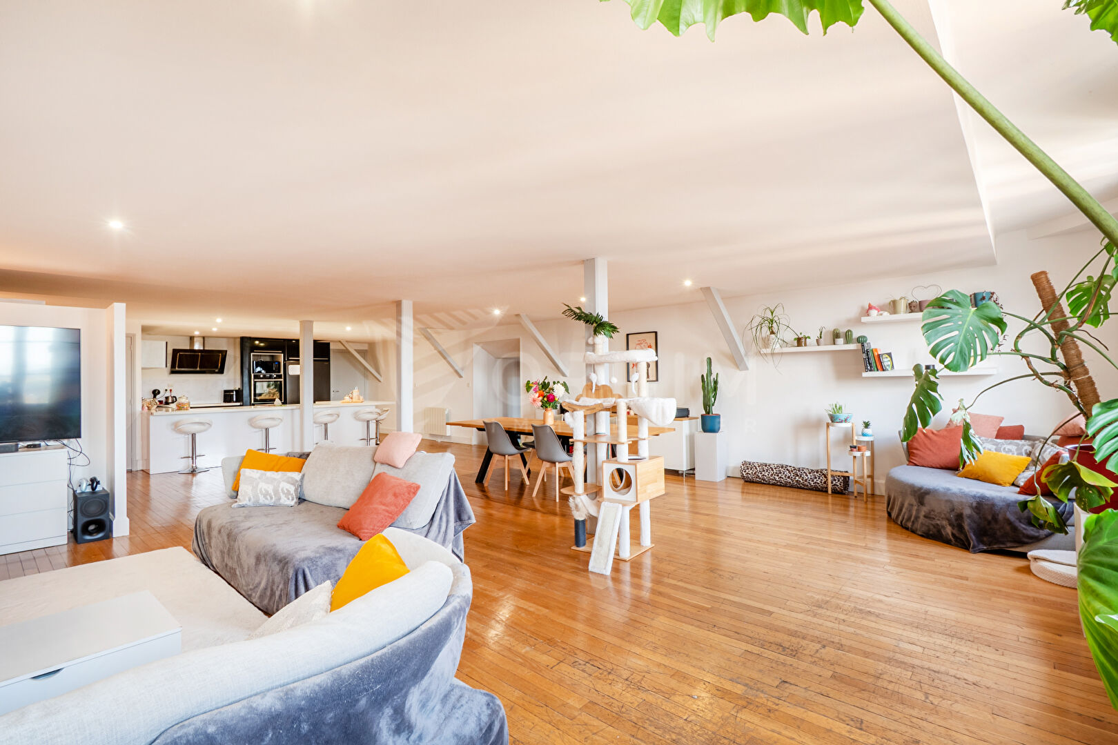 Photo EXCLUSIVITE QUARTIER DE L'HORLOGE AUXERRE image 2/6