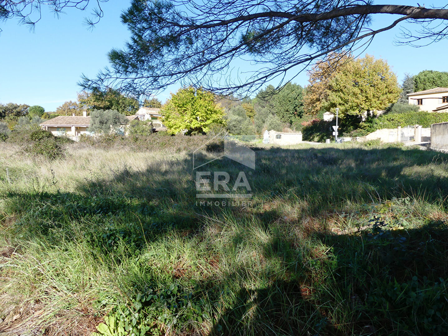 Photo TERRAIN CONSTRUCTIBLE EN CAMPAGNE SABRAN image 3/4