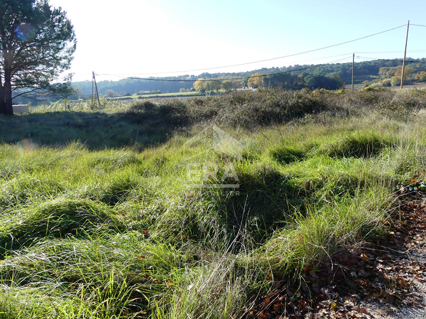 Photo TERRAIN CONSTRUCTIBLE EN CAMPAGNE SABRAN image 4/4