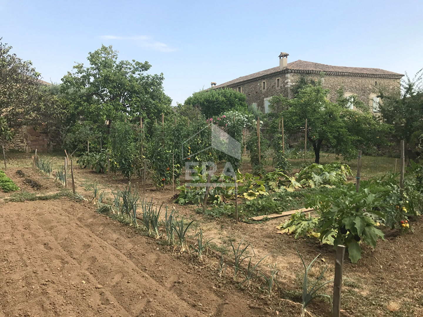 Photo AUTHENTIQUE MAISON EN PIERRE - CAVILLARGUES image 4/6