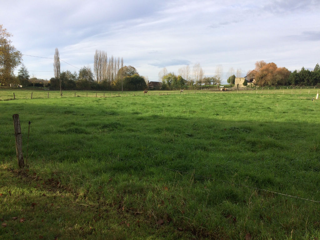 3 SUPERBES PARCELLES