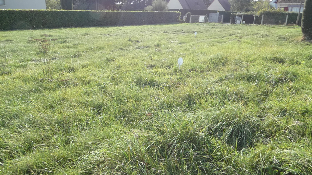 Terrain Consrtuctible