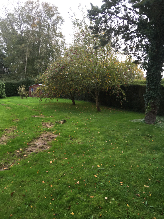 Terrain Canteloup 550 m2