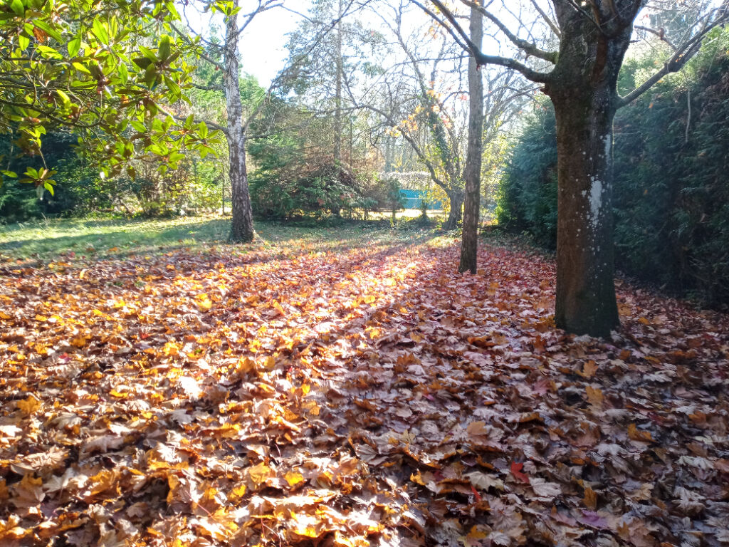 terrain Centre-ville 1072m²