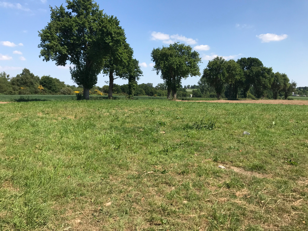 Terrain Quedillac 1000 m2