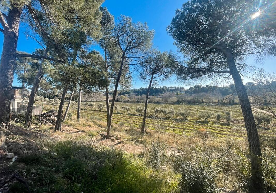 Agence immobilière de NESTENN CARCASSONNE