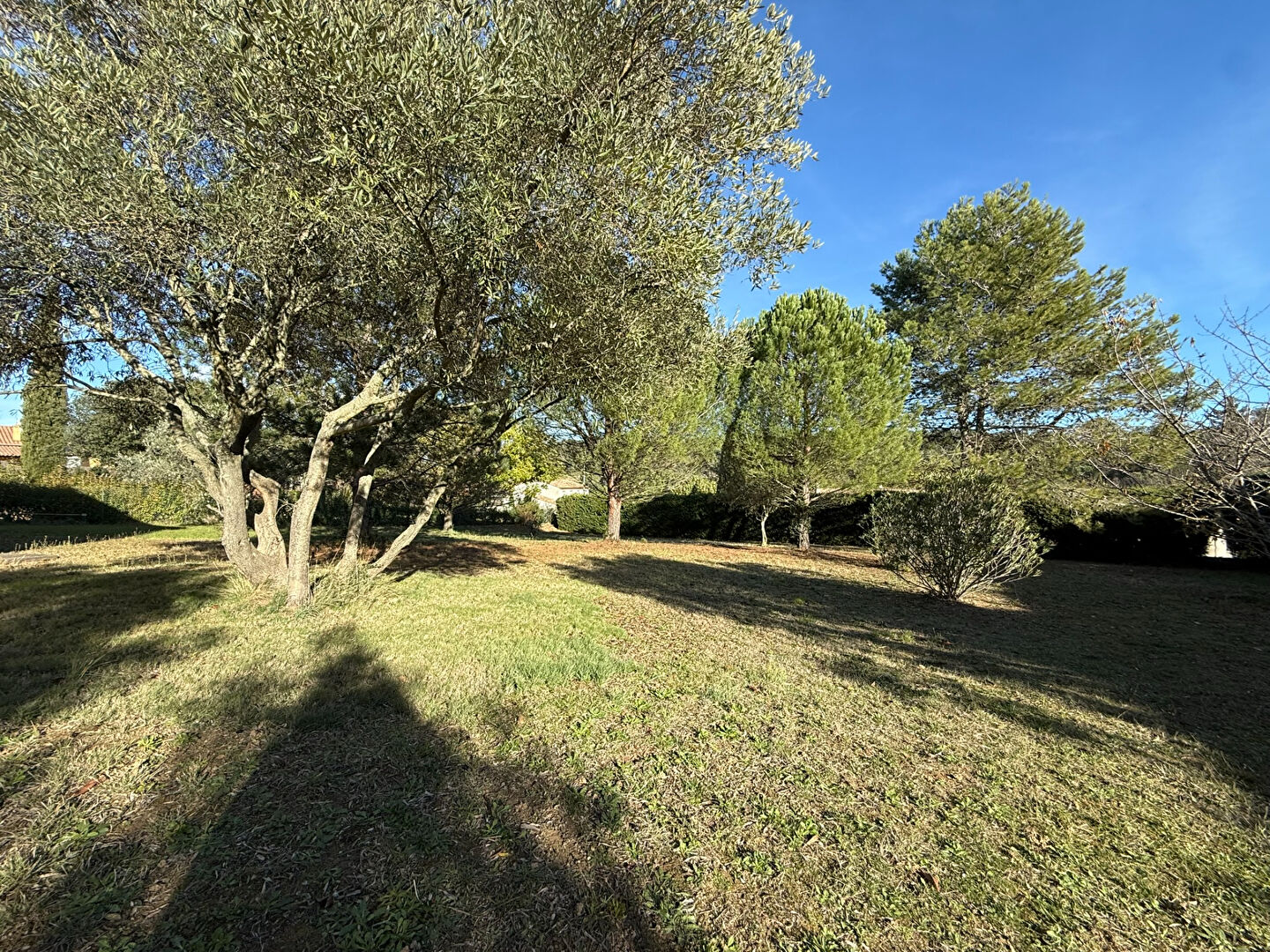 Photo Maison plain-pied Montlegun 190 m² sur vaste terrain arboré avec terrasse et garage indépendant image 3/6