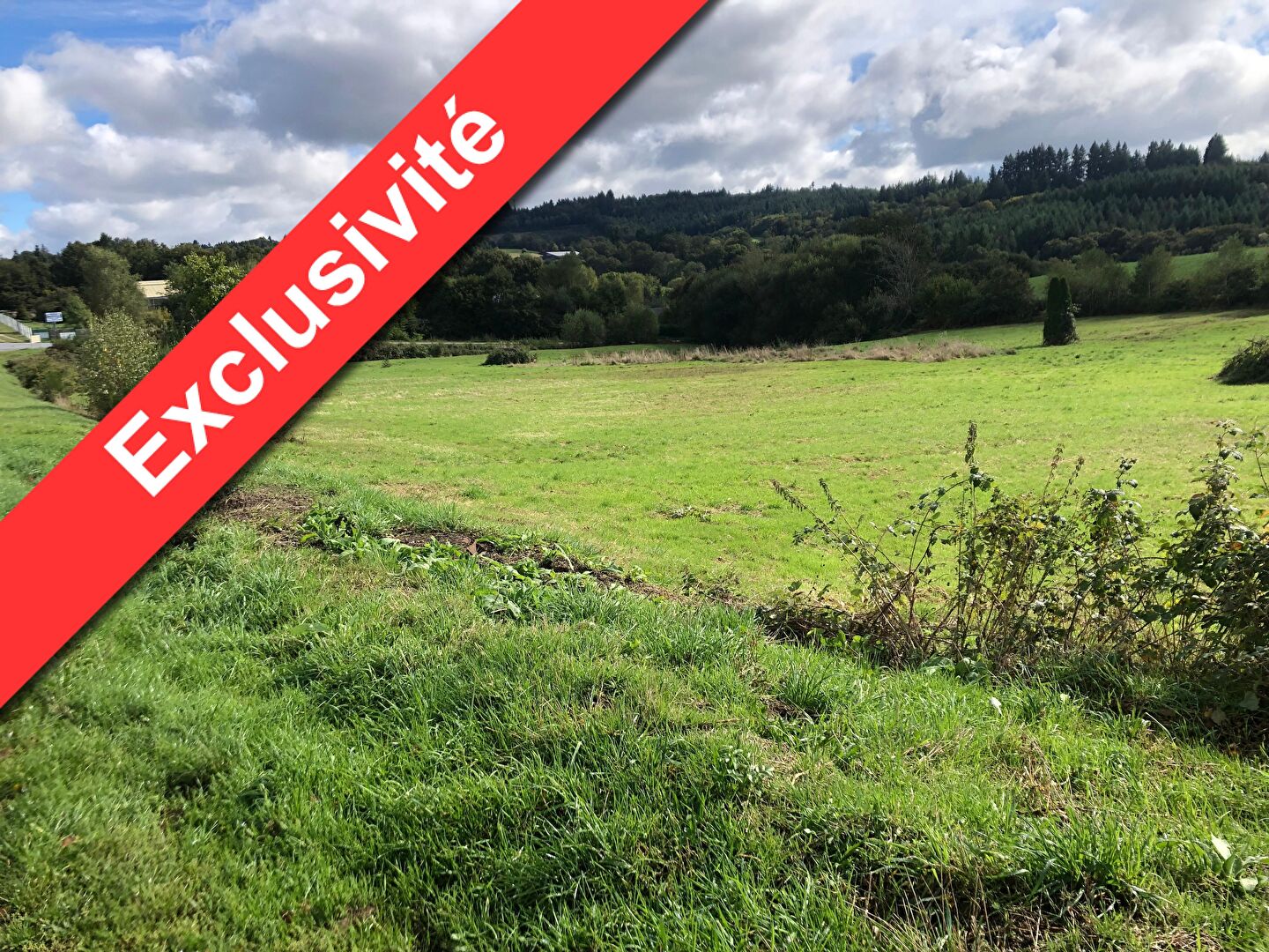 Terrain * 13819 M² * 19250 Meymac * 181 900  €