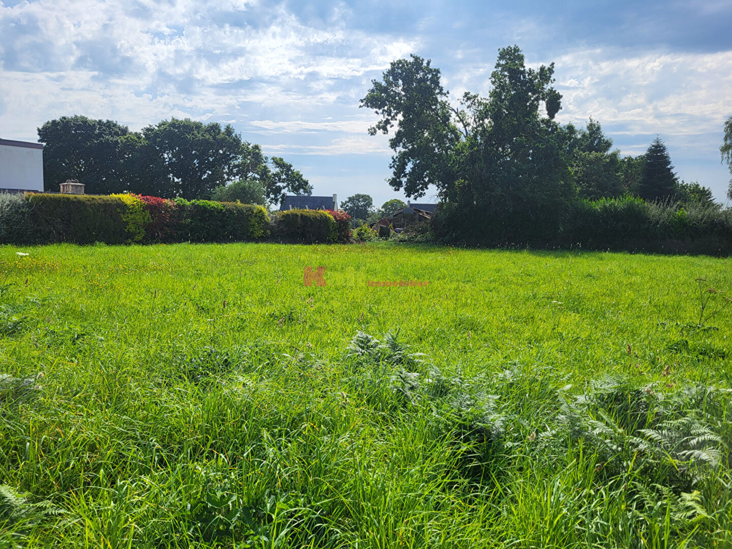 Agence immobilière de Kali Immobilier