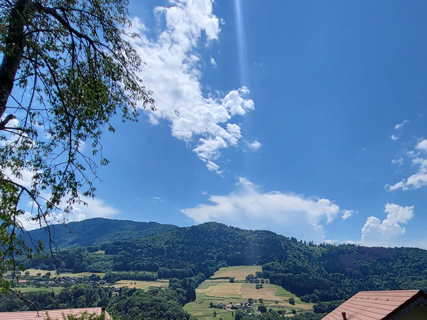 Agence immobilière de AGENCE GAYA Grenoble Chavant