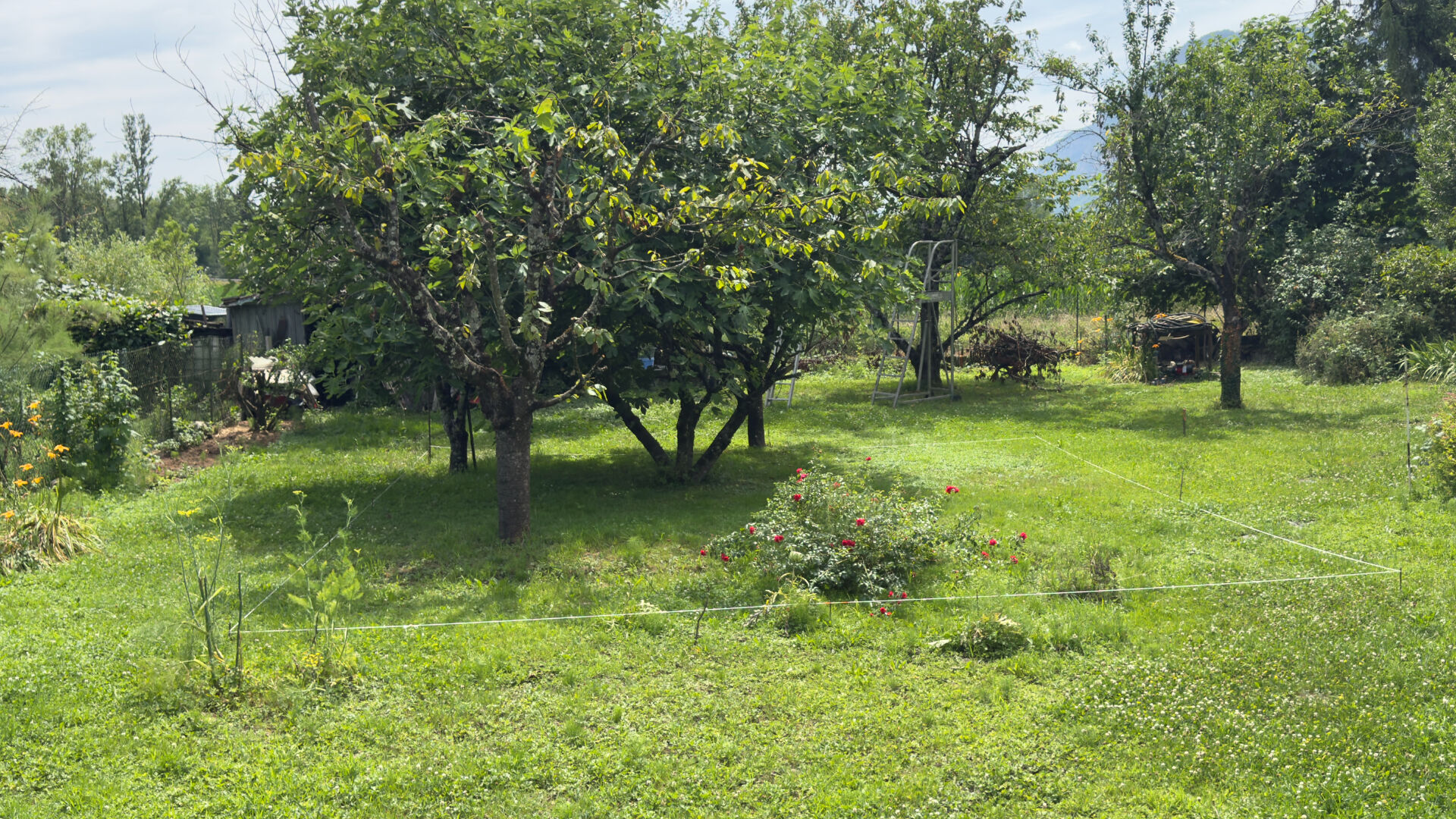 Agence immobilière de AGENCE GAYA Grenoble Chavant
