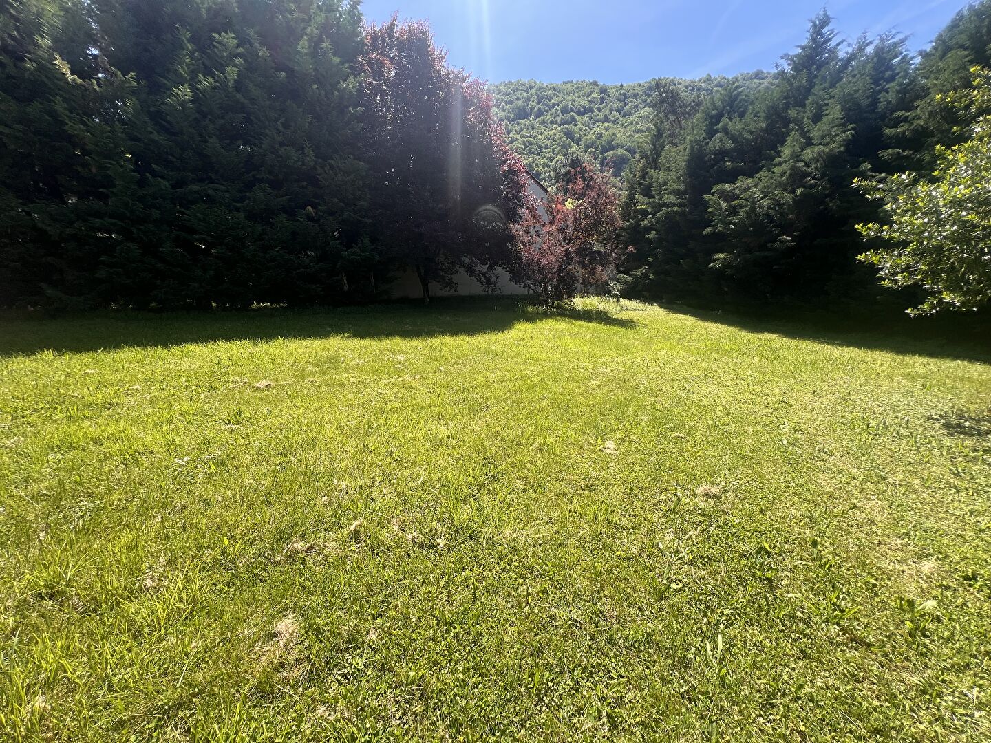 Agence immobilière de AGENCE GAYA Grenoble Chavant